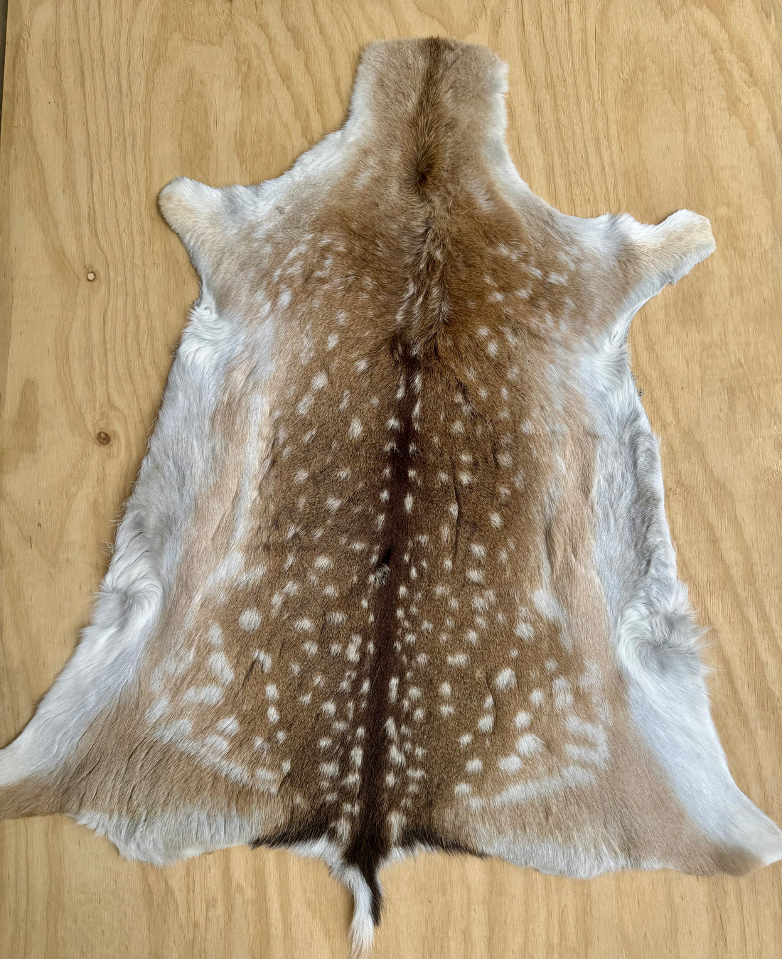 Tanned Hides